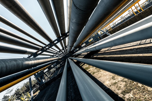 Energy sector professional